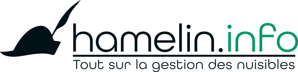 logo du site hamelin.info