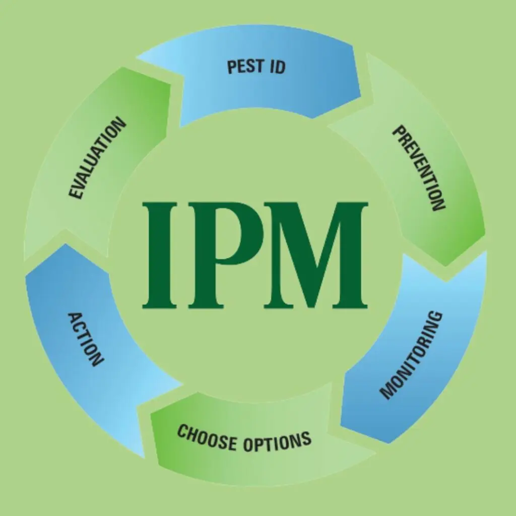 pest management intégré ou IPM