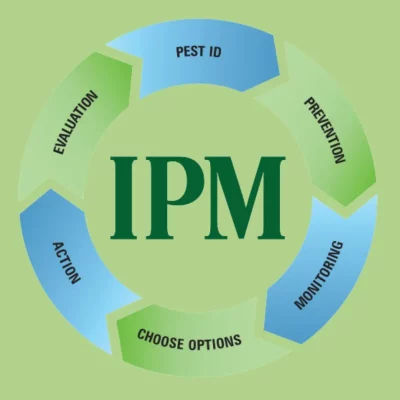 pest management intégré ou IPM